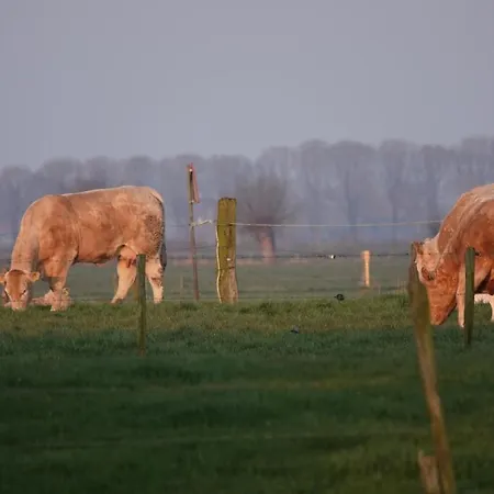 B&B Bij Bronckhorst-2